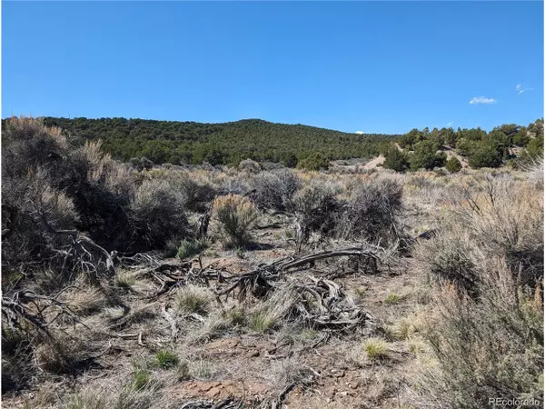 Fort Garland, CO 81133,7504 Boseman