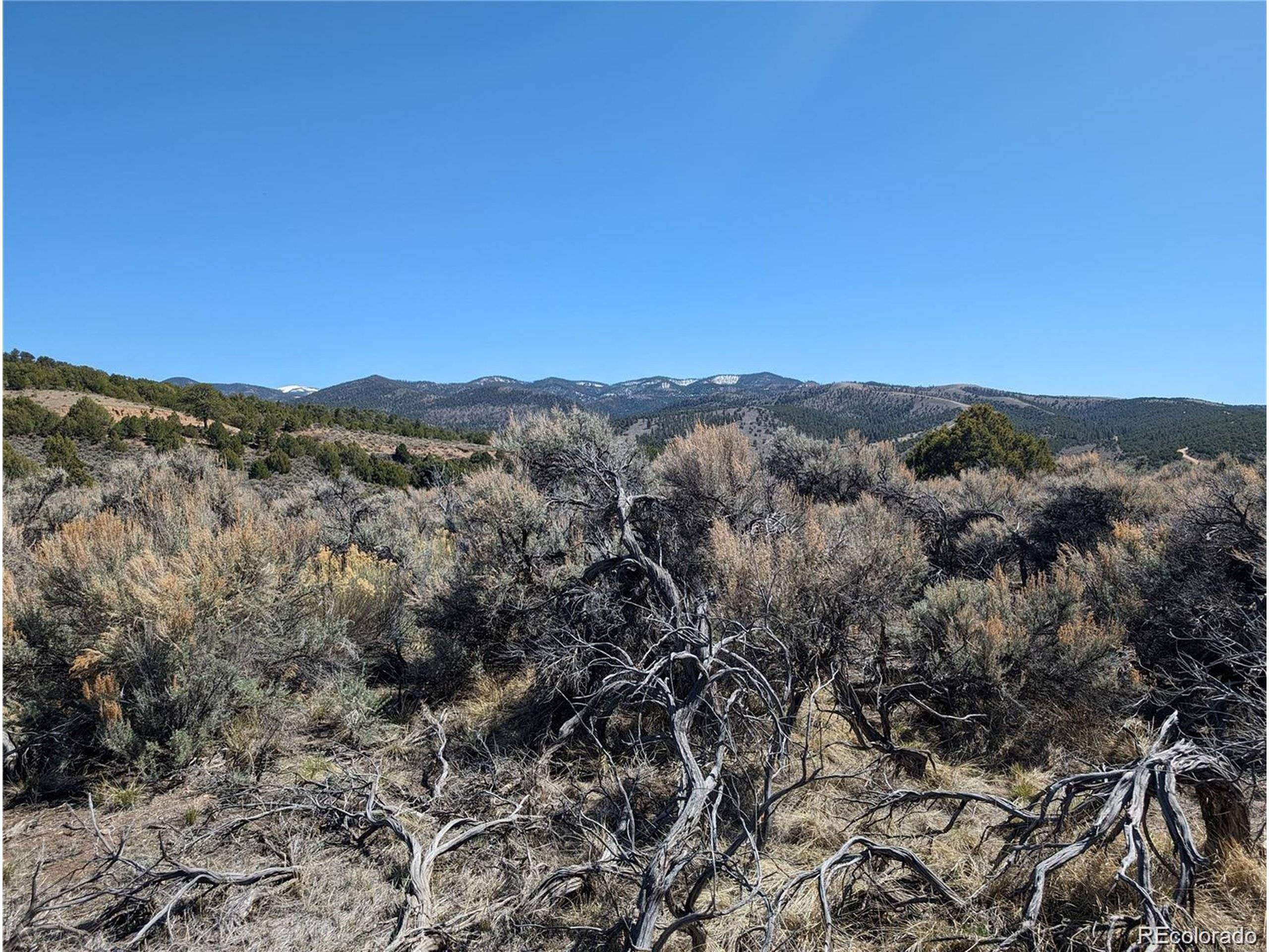 7504 Boseman, Fort Garland, CO 81133