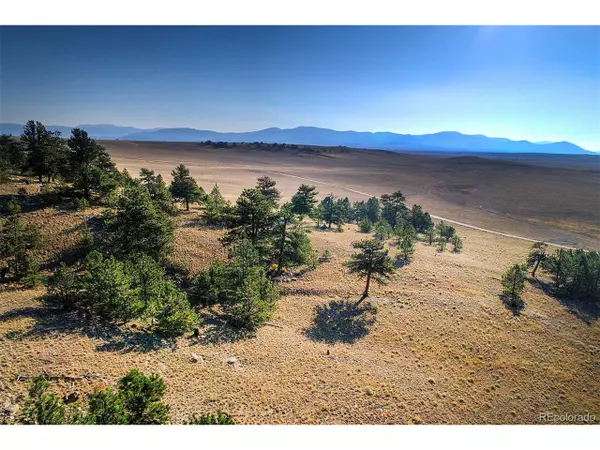 9128 Elkhorn Rd, Hartsel, CO 80449