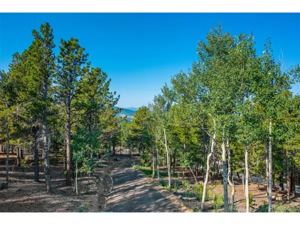 Black Hawk, CO 80422,140 Weasel Way