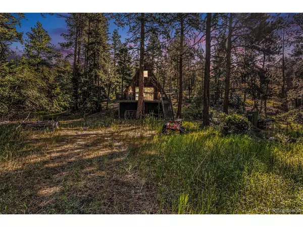 11837 US Highway 285, Conifer, CO 80433