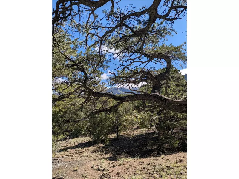 1814 Lobo Pt, Crestone, CO 81131