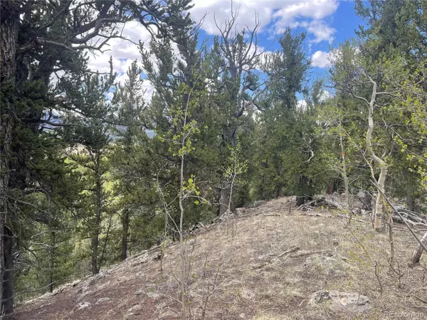 Fairplay, CO 80440,0 Ponderosa Rd