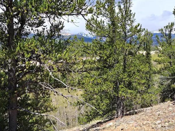 Fairplay, CO 80440,0 Ponderosa Rd