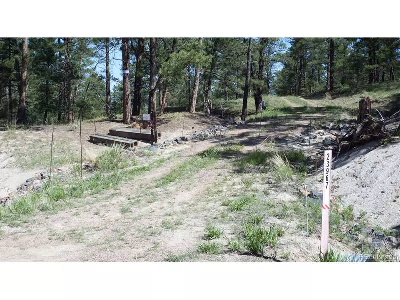 23967 High Timber Ln, Agate, CO 80101