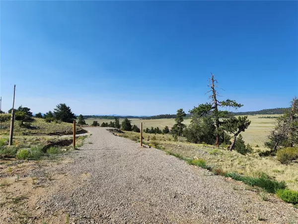 Hartsel, CO 80449,640 Arapahoe Trl