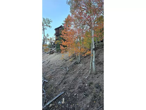 Georgetown, CO 80444,Democrat Mountain Claims