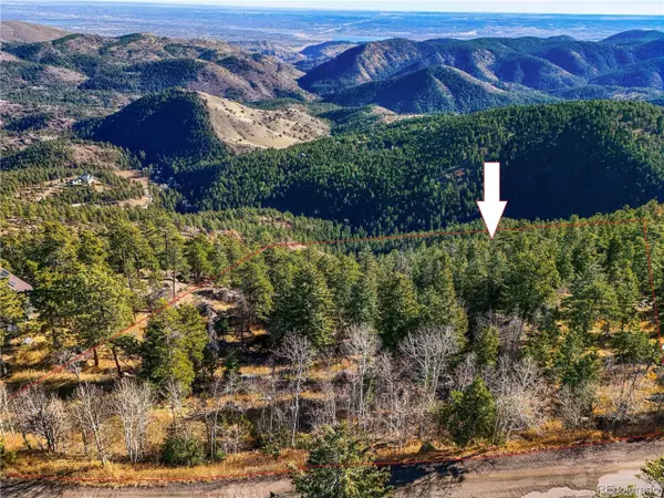 Morrison, CO 80465,10256 Horizon View Dr