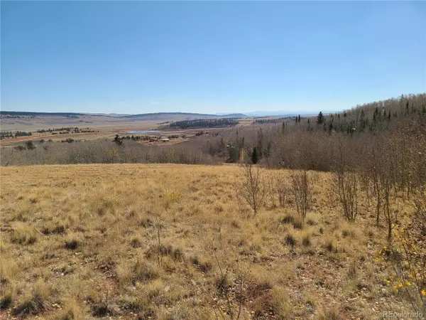 Fairplay, CO 80440,562 Palmer Peak Dr