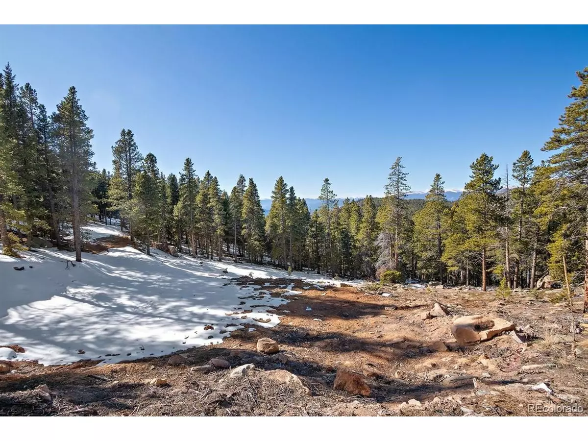 Conifer, CO 80433,11275 Bear Run Trail