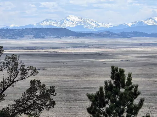 Hartsel, CO 80449,2182 PUMA HILLS Rd