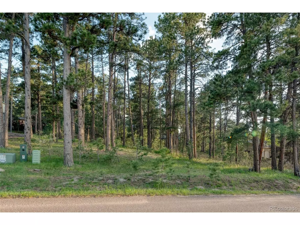 Monument, CO 80132,1295 Lone Scout Lookout