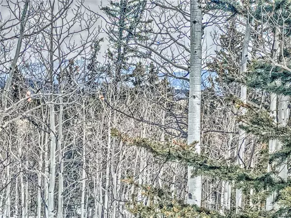 Como, CO 80432,486 Pathfinder Rd