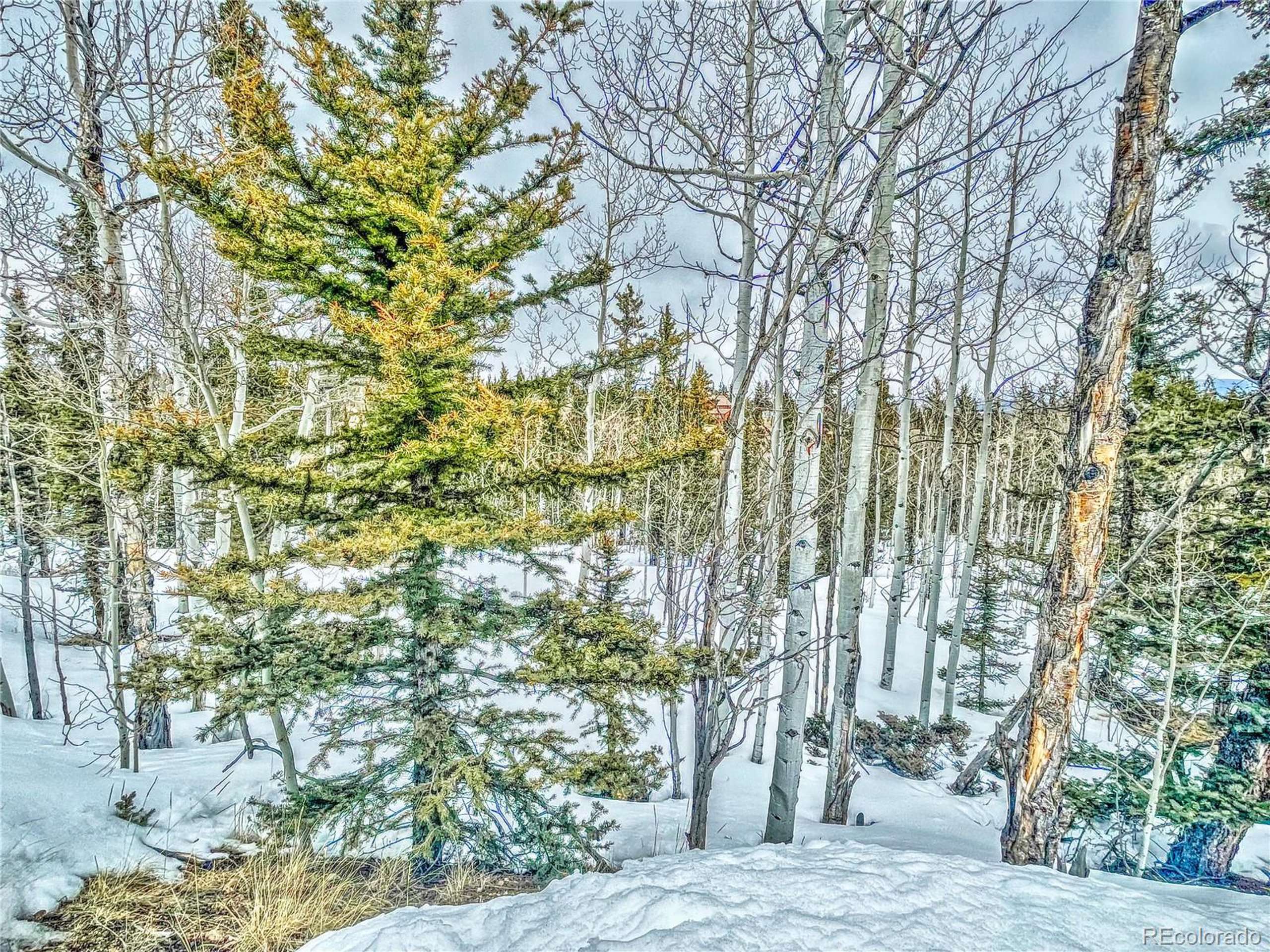 Como, CO 80432,486 Pathfinder Rd