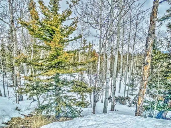 Como, CO 80432,486 Pathfinder Rd