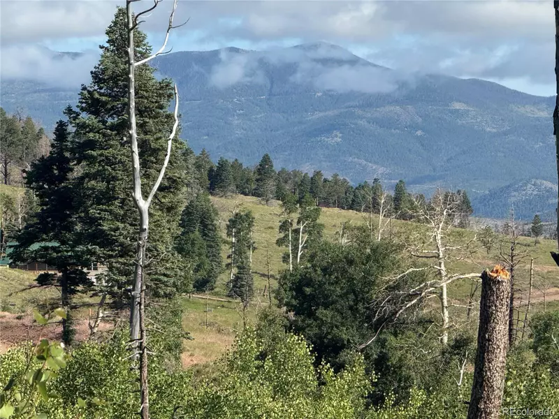 775 Forbes Park Rd, Fort Garland, CO 81133