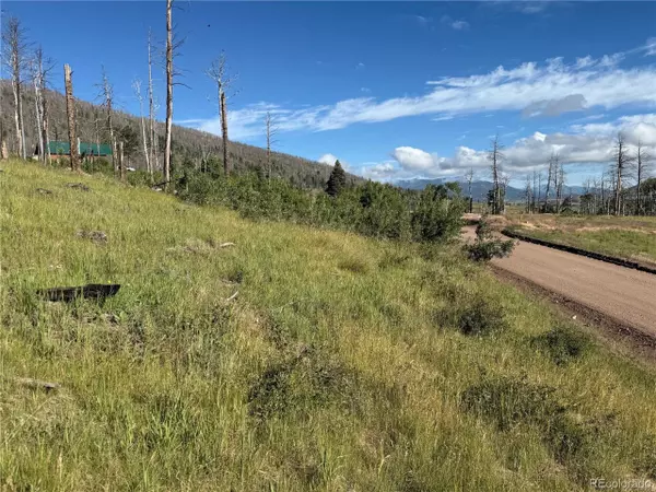 Fort Garland, CO 81133,775 Forbes Park Rd