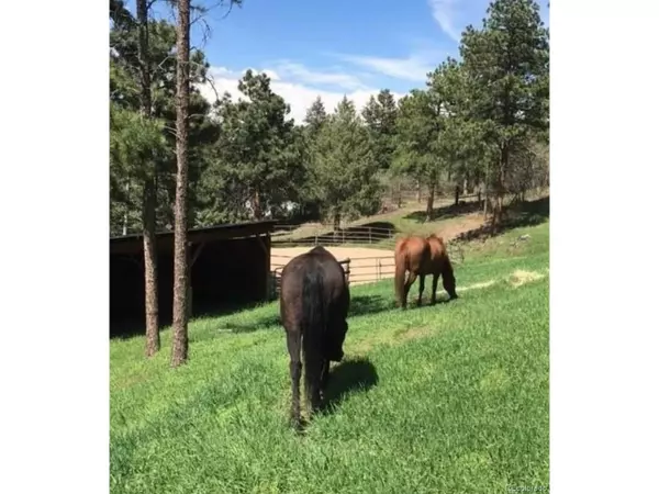 Littleton, CO 80127,10381 Hondah Dr