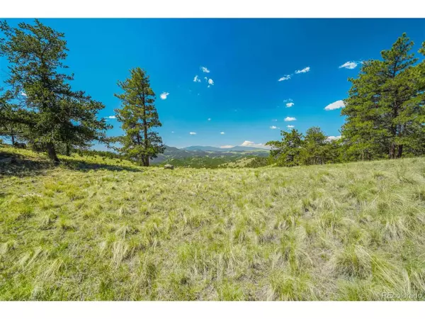 Guffey, CO 80820,0 County Road 102