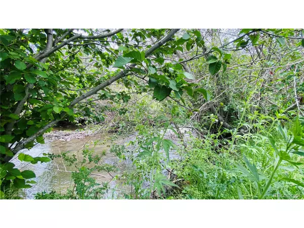 Capulin, CO 81124,Lot 4 LJCA