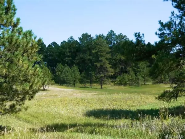 Franktown, CO 80116,1133 Tomichi Dr