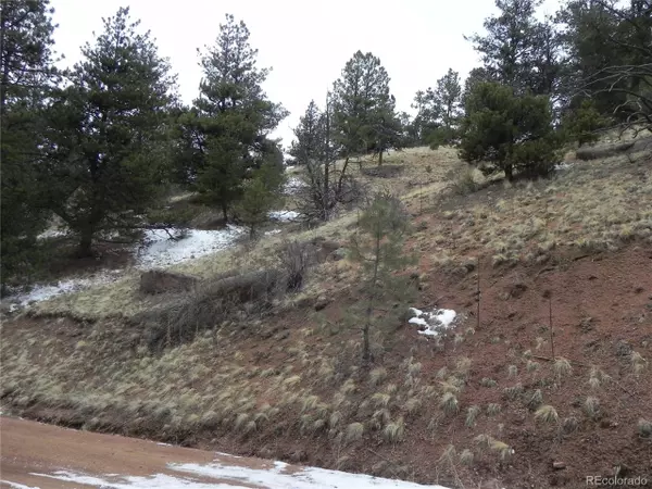 Cripple Creek, CO 80813,153 Idlewild Dr