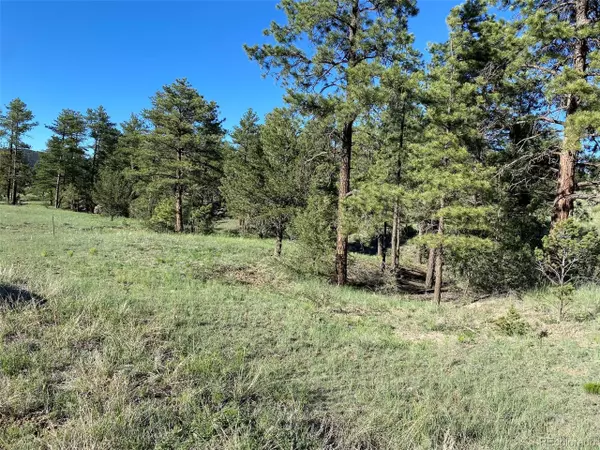 Cotopaxi, CO 81223,239 Wendy Dr