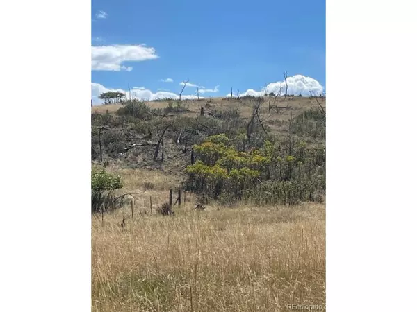 Cotopaxi, CO 81223,Address not disclosed
