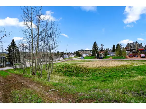 Cripple Creek, CO 80813,15 Crystal St