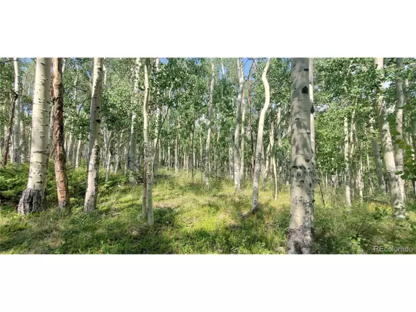 Fort Garland, CO 81133