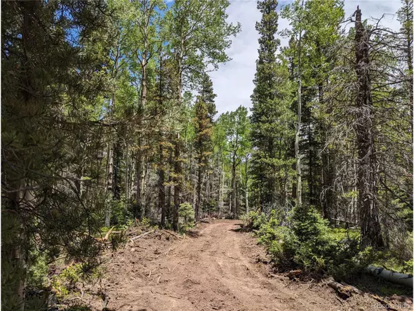 Fort Garland, CO 81133,2904 Henderson Loop