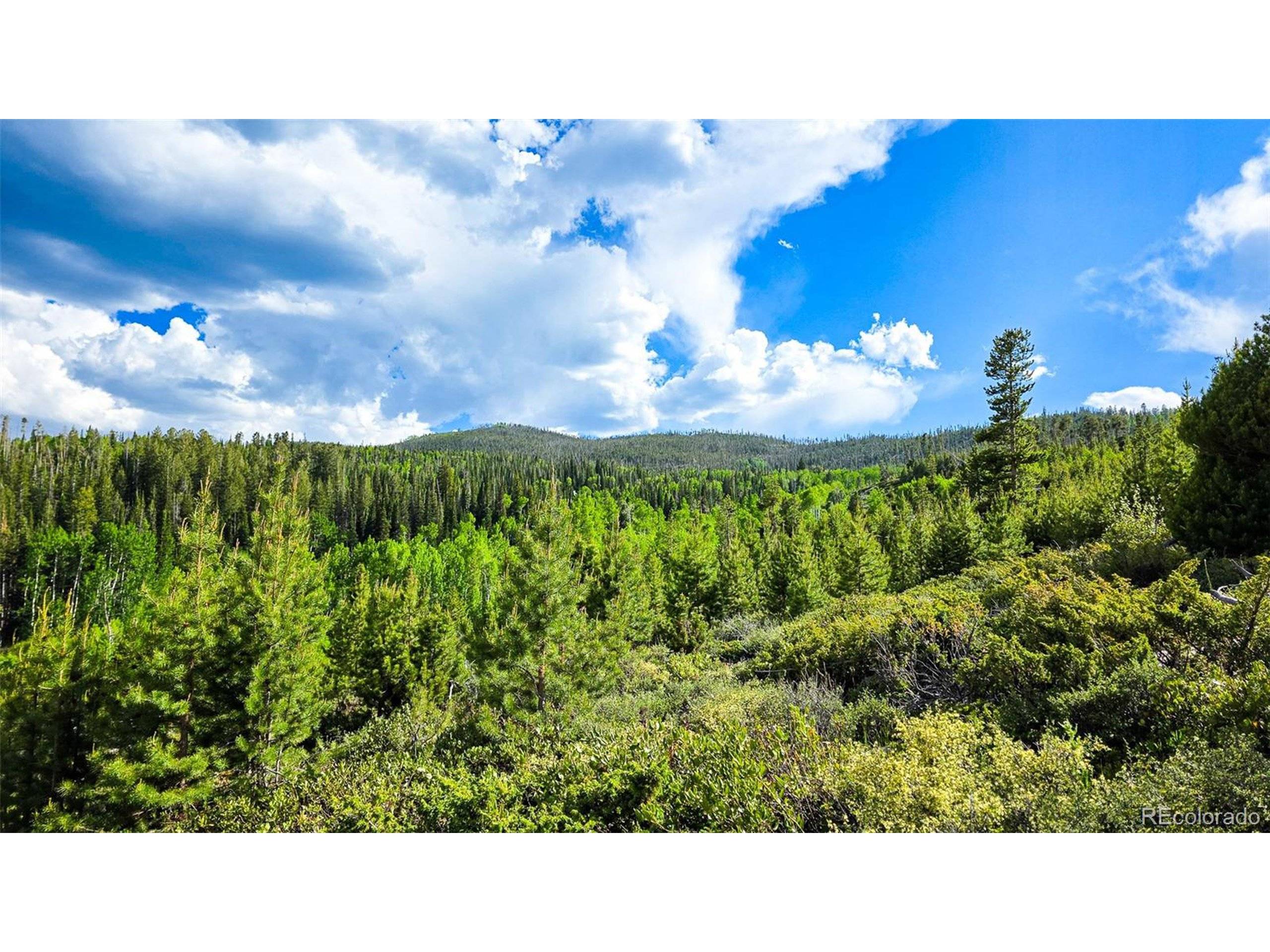 Granby, CO 80446,520 County Road 52