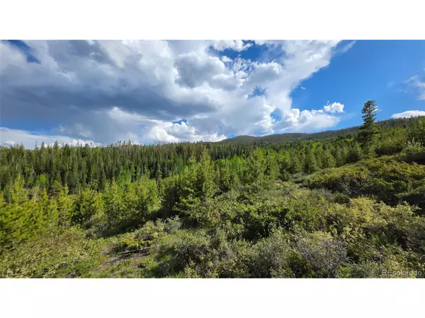 Granby, CO 80446,520 County Road 52