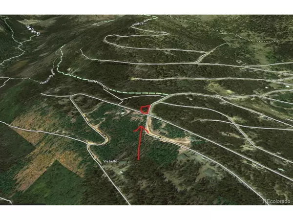 Idaho Springs, CO 80452,Alice Road