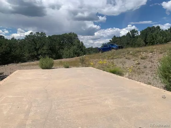 Westcliffe, CO 81252,188 Looters Ln