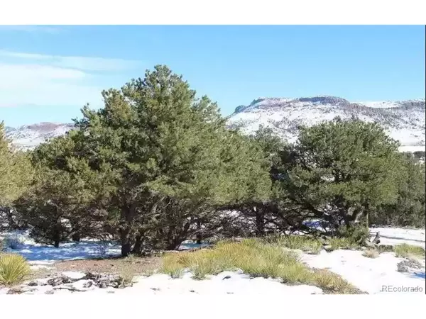 Del Norte, CO 81132,14C