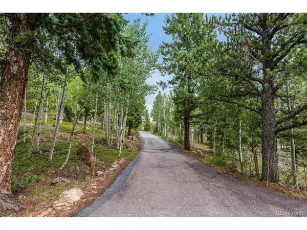 10439 Christopher Dr, Conifer, CO 80433