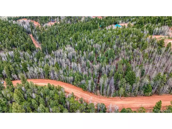 Divide, CO 80814,1218 Calcite Dr