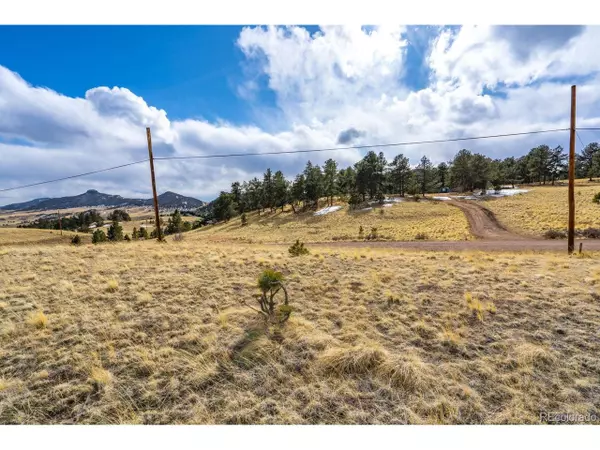 Florissant, CO 80816,66 Mcintyre Dr