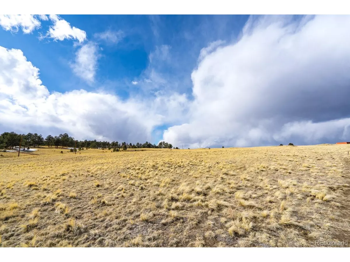 Florissant, CO 80816,66 Mcintyre Dr
