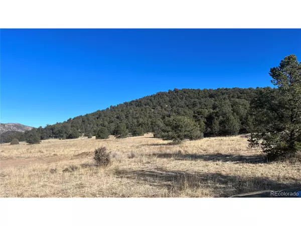 Cotopaxi, CO 81223,688 Iron Mountain Ln