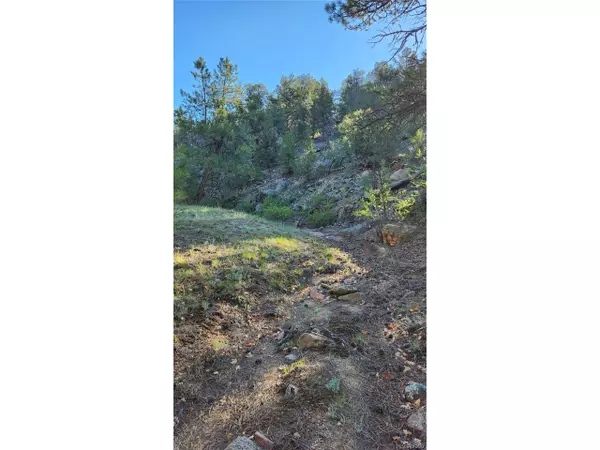 Cotopaxi, CO 81223,110 Dead Log Ln