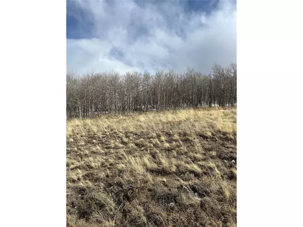 Hartsel, CO 80449,68 Mower Ct