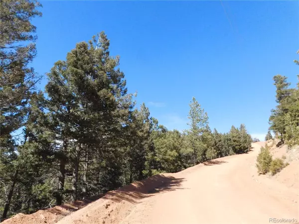 Larkspur, CO 80118,13420 Spruce Creek Cir