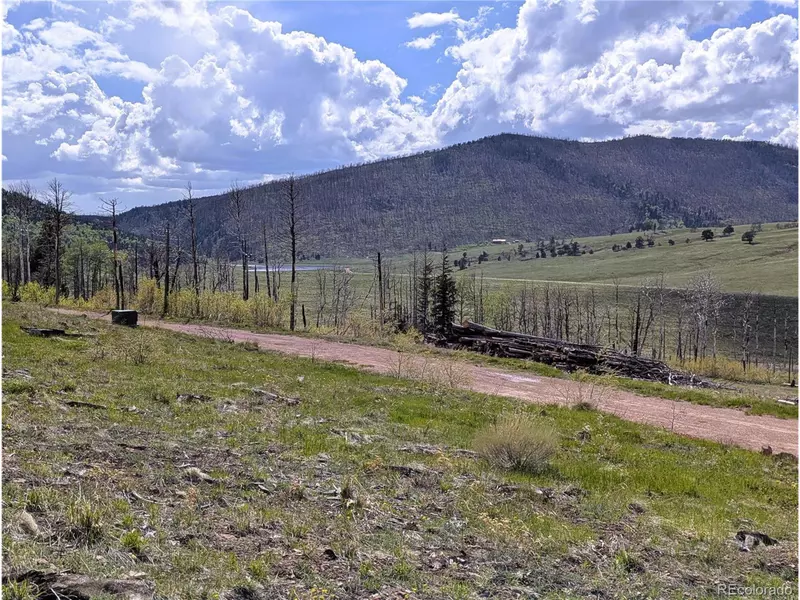 2415 Petito Dr, Fort Garland, CO 81133