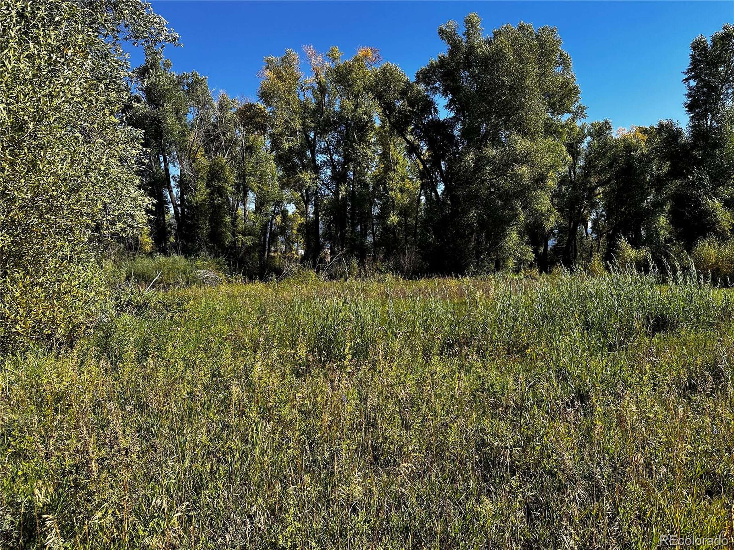 South Fork, CO 81154,169 Escondida Dr