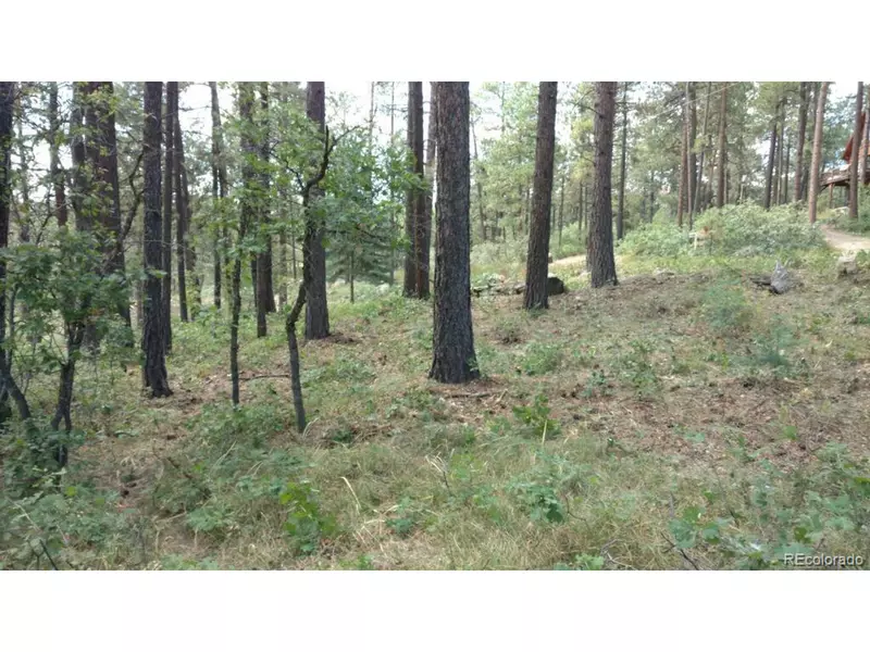 52 Hilltop Dr, Bayfield, CO 81122