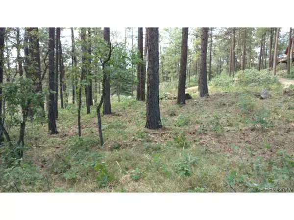 52 Hilltop Dr, Bayfield, CO 81122