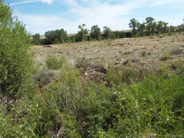 Capulin, CO 81124