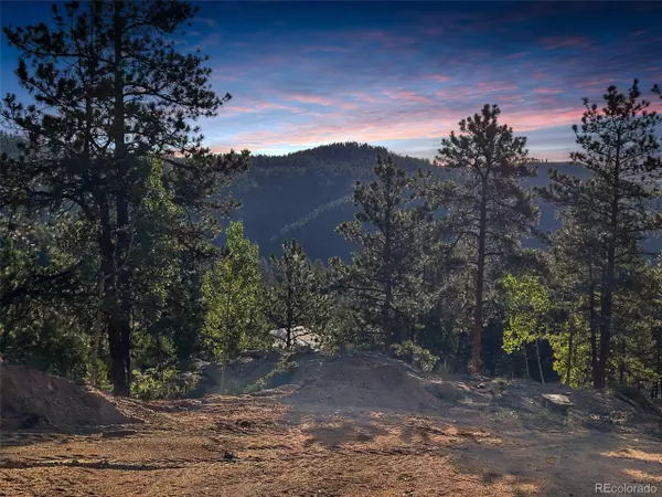 Bailey, CO 80421,4501 County Road 72